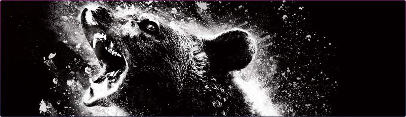 Cocaine Bear