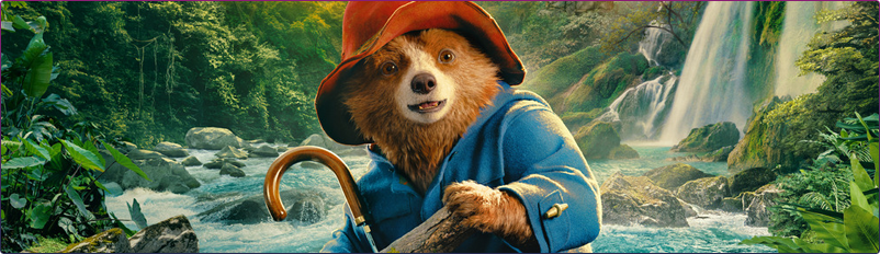 Paddington in Peru