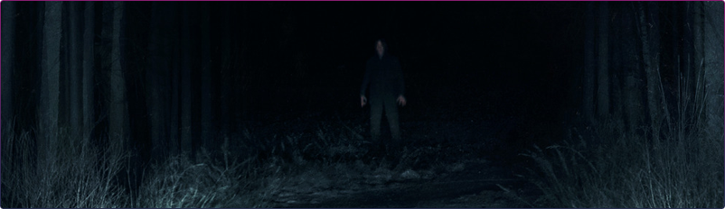 Passenger