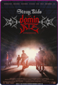Stray Kids: The dominATE Experience 