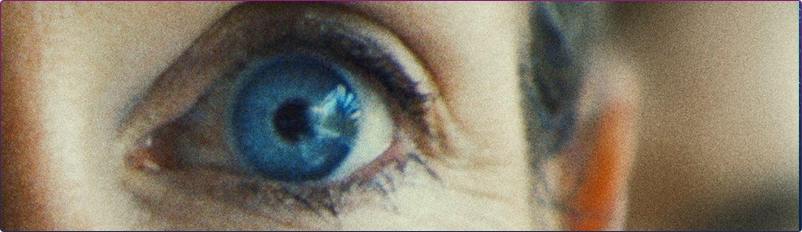 You Can See Everything